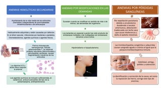 ANEMIAS HEMOLÍTICAS SECUNDARIAS
Acortamiento de la vida media de los eritrocitos
(hemólisis) independiente de anormalidades
intraeritrocitarias o de anticuerpos
Habitualmente adquiridas y están causadas por defectos
En el árbol vascular, infecciones por bacterias o parásitos,
Dismetabolismos, agentes químicos o agentes físicos.
Fibrina intravascular,
hemangiomas, fístulas
arteriovenosas Y, en especial,
prótesis valvulares disfuncionales y
valvulopatías cardiacas, causan
fragmentación mecánica de los
eritrocitos
La vitamina b12 y
ácido fólico mejoran
la anemia
Los agentes químicos se incluyen sulfonamidas, β-
lactámicos, anticonvulsivantes del tipo de la
carbamazepina, antihipertensivos
ANEMIAS POR MODIFICACIONES EN LAS
DEMANDAS
Suceden cuando se modifican en sentido de más o de
menos, las demandas del organismo
Los lactantes en especial cuando han sido producto de
embarazos múltiples o de multigestas con embarazos
cercanos unos a otros.
Hipotiroidismo e hipopituitarismo;
ANEMIAS POR PÉRDIDAS
SANGUÍNEAS
Por expoliación parasitaria
debida a ancylostoma
duodenale o necator
americanus, ablactación
inadecuada con leche vaca
que cause intolerancia y
daño al epitelio intestinal,
Las trombocitopatías congénitas o adquiridas
causan sangrado agudo o crónico al igual que la
púrpura trombocitopénica inmune.
Debilidad, vértigo,
palidez y sudoración.
La identificación y corrección de la causa, así como
la reposición de hierro, corrige este tipo de
anemias.
 