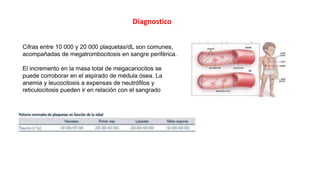 Cifras entre 10 000 y 20 000 plaquetas/dL son comunes,
acompañadas de megatrombocitosis en sangre periférica.
El incremento en la masa total de megacariocitos se
puede corroborar en el aspirado de médula ósea. La
anemia y leucocitosis a expensas de neutrófilos y
reticulocitosis pueden ir en relación con el sangrado
Diagnostico
 