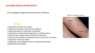LEUCEMIA AGUDA LINFOBLÁSTICA
Es la neoplasia maligna mas frecuente en la infancia.
• Exposición prenatal a los rayos X.
• Exposición posnatal a altas dosis de radiación
• Exposición paterna a pesticidas y herbicidas.
• Exposición a campos electromagnéticos y radiofrecuencia.
• Estilo de vida: la dieta materna durante el embarazo
• Consumo de inhibidores de topoisomerasa II presentes en la dieta
• Exposición a benceno (LANL).
• Exposición a quimioterapia previa con agentes alquilantes,
epipodofilotoxinas (LANL).
Etiología
 