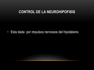 CONTROL DE LA NEUROHIPOFISIS 
• Esta dada por impulsos nerviosos del hipotálamo 
 