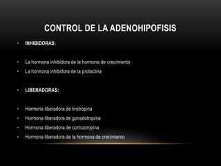 CONTROL DE LA ADENOHIPOFISIS 
• INHIBIDORAS: 
• La hormona inhibidora de la hormona de crecimiento 
• La hormona inhibidora de la prolactina 
• LIBERADORAS: 
• Hormona liberadora de tirotropina 
• Hormona liberadora de gonadotropina 
• Hormona liberadora de corticotropina 
• Hormona liberadora de la hormona de crecimiento 
 