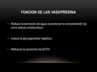FUNCION DE LAS VASOPRESINA 
• Reduce la excreción de agua al promover la concentración de 
orina (efecto antidiurético) 
• Induce la glucogenólisis hepática. 
• Refuerza la secreción de ACTH. 
 