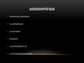 ADENOHIPÓFISIS 
• Hormona de crecimiento. 
• La corticotropina. 
• La tirotropina. 
• Prolactina. 
• La leutinizatente (LH). 
• La folículoestimulante (FSH). 
 