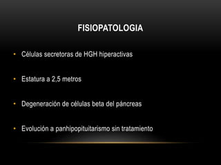 FISIOPATOLOGIA 
• Células secretoras de HGH hiperactivas 
• Estatura a 2,5 metros 
• Degeneración de células beta del páncreas 
• Evolución a panhipopituitarismo sin tratamiento 
 