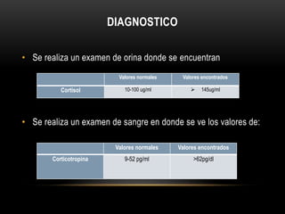 DIAGNOSTICO 
• Se realiza un examen de orina donde se encuentran 
Valores normales Valores encontrados 
Cortisol 10-100 ug/ml  145ug/ml 
• Se realiza un examen de sangre en donde se ve los valores de: 
Valores normales Valores encontrados 
Corticotropina 9-52 pg/ml >62pg/dl 
 