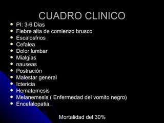 CUADRO CLINICO
   PI: 3-6 Dias
   Fiebre alta de comienzo brusco
   Escalosfrios
   Cefalea
   Dolor lumbar
   Mialgias
   nauseas
   Postración
   Malestar general
   Ictericia
   Hematemesis
   Melanemesis ( Enfermedad del vomito negro)
   Encefalopatia.

                    Mortalidad del 30%
 