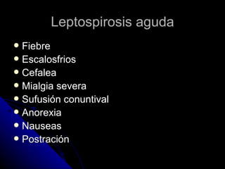 Leptospirosis aguda
 Fiebre
 Escalosfrios
 Cefalea
 Mialgia severa
 Sufusión conuntival
 Anorexia
 Nauseas
 Postración
 