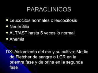 PARACLINICOS
 Leucocitos normales o leucocitosis
 Neutrofilia
 ALT/AST hasta 5 veces lo normal
 Anemia



DX: Aislamiento del mo y su cultivo: Medio
 de Fletcher de sangre o LCR en la
 priemra fase y de orina en la segunda
 fase
 