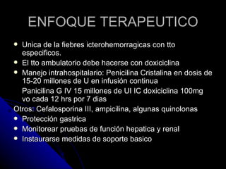 ENFOQUE TERAPEUTICO
 Unica de la fiebres icterohemorragicas con tto
  especificos.
 El tto ambulatorio debe hacerse con doxiciclina
 Manejo intrahospitalario: Penicilina Cristalina en dosis de
  15-20 millones de U en infusión continua
  Panicilina G IV 15 millones de UI IC doxiciclina 100mg
  vo cada 12 hrs por 7 dias
Otros: Cefalosporina III, ampicilina, algunas quinolonas
 Protección gastrica
 Monitorear pruebas de función hepatica y renal
 Instaurarse medidas de soporte basico
 