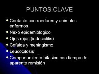 PUNTOS CLAVE
 Contacto con roedores y animales
  enfermos
 Nexo epidemiologico
 Ojos rojos (iridociclitis)
 Cefalea y meningismo
 Leucocitosis
 Comportamiento bifasico con tiempo de
  aparente remisión
 