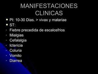 MANIFESTACIONES
              CLINICAS
   PI: 10-30 Dias. > vivax y malariae
   ST:
-   Fiebre precedida de escalosfrios
-   Mialgias
-   Cefalalgia
-   Ictericia
-   Coluria
-   Vomito
-   Diarrea
 