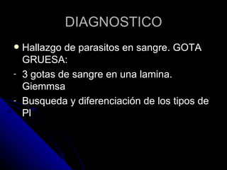 DIAGNOSTICO
   Hallazgo de parasitos en sangre. GOTA
    GRUESA:
-   3 gotas de sangre en una lamina.
    Giemmsa
-   Busqueda y diferenciación de los tipos de
    Pl
 