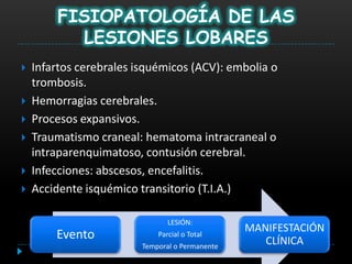 FISIOPATOLOGÍA DE LAS
           LESIONES LOBARES
   Infartos cerebrales isquémicos (ACV): embolia o
    trombosis.
   Hemorragias cerebrales.
   Procesos expansivos.
   Traumatismo craneal: hematoma intracraneal o
    intraparenquimatoso, contusión cerebral.
   Infecciones: abscesos, encefalitis.
   Accidente isquémico transitorio (T.I.A.)

                                LESIÓN:
                                                 MANIFESTACIÓN
        Evento               Parcial o Total
                                                    CLÍNICA
                         Temporal o Permanente
 