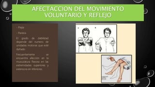 AFECTACCION DEL MOVIMIENTO
VOLUNTARIO Y REFLEJO
 