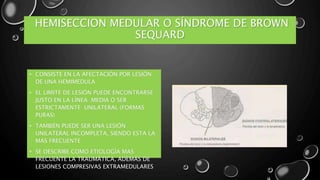 HEMISECCION MEDULAR O SÍNDROME DE BROWN
SEQUARD
• CONSISTE EN LA AFECTACIÓN POR LESIÓN
DE UNA HEMIMEDULA
• EL LIMITE DE LESIÓN PUEDE ENCONTRARSE
JUSTO EN LA LÍNEA MEDIA O SER
ESTRICTAMENTE UNILATERAL (FORMAS
PURAS)
• TAMBIÉN PUEDE SER UNA LESIÓN
UNILATERAL INCOMPLETA, SIENDO ESTA LA
MAS FRECUENTE
• SE DESCRIBE COMO ETIOLOGÍA MAS
FRECUENTE LA TRAUMÁTICA, ADEMÁS DE
LESIONES COMPRESIVAS EXTRAMEDULARES
 
