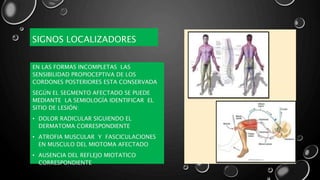 SIGNOS LOCALIZADORES
EN LAS FORMAS INCOMPLETAS LAS
SENSIBILIDAD PROPIOCEPTIVA DE LOS
CORDONES POSTERIORES ESTA CONSERVADA
SEGÚN EL SEGMENTO AFECTADO SE PUEDE
MEDIANTE LA SEMIOLOGÍA IDENTIFICAR EL
SITIO DE LESIÓN:
• DOLOR RADICULAR SIGUIENDO EL
DERMATOMA CORRESPONDIENTE
• ATROFIA MUSCULAR Y FASCICULACIONES
EN MUSCULO DEL MIOTOMA AFECTADO
• AUSENCIA DEL REFLEJO MIOTATICO
CORRESPONDIENTE
 