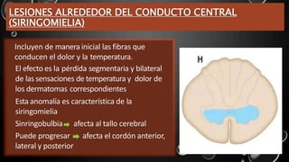 LESIONES ALREDEDOR DEL CONDUCTO CENTRAL
(SIRINGOMIELIA)
• Incluyen de manera inicial las fibras que
conducen el dolor y la temperatura.
• El efecto es la pérdida segmentaria y bilateral
de las sensaciones de temperatura y dolor de
los dermatomas correspondientes
• Esta anomalía es característica de la
siringomielia
• Sinringobulbia afecta al tallo cerebral
• Puede progresar afecta el cordón anterior,
lateral y posterior
 