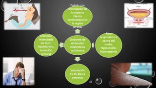 Síndrome de
disfunción
respiratoria
autónoma
Debido a la
interrupción de
la materia
blanca
ventrolateral en
la región
cervical
Paro
respiratorio o
apnea del
sueño,
hipotensión,
hiponatremia
Sudoración
es de días a
semanas
Secreción
inadecuada
de ADH,
hipohidrosis,
retención
urinaria
 