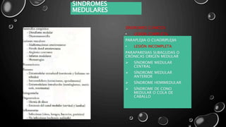 SÍNDROMES CLÍNICOS:
• LESIÓN COMPLETA
PARAPLEJIA O CUADRIPLEJIA
• LESIÓN INCOMPLETA
PARAPARESIAS SUBAGUDAS O
CRÓNICAS ORIGEN MEDULAR
 SÍNDROME MEDULAR
CENTRAL
 SÍNDROME MEDULAR
ANTERIOR
 SÍNDROME HEMIMEDULAR
 SÍNDROME DE CONO
MEDULAR O COLA DE
CABALLO
SINDROMES
MEDULARES
 