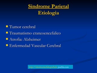Sindrome Parietal Etiologia <ul><li>Tumor cerebral </li></ul><ul><li>Traumatismo craneoencefalico </li></ul><ul><li>Atrofi...