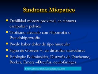 Sindrome Miopatico <ul><li>Debilidad motora proximal, en cinturas escapular y pelvica </li></ul><ul><li>Trofismo afectado ...