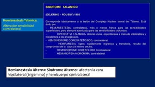 Hemianestesia Talamica:
Alteracion sensibilidad
contralateral
Hemianestesia Alterna: Sindrome Alterno: afectan la cara
hipsilateral (trigemino) y hemicuerpo contralateral
 