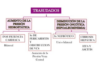 Sx DE            Sx NEFRÓTICO
INSUFICIENCIA                                       CIRROSIS
                PERICARDITIS
  CARDIACA                                          HEPÁTICA
                Y                 Uni o bilateral
Bilateral       OBSTRUCCION                         HTA Y
                DE VCS                              ASCITIS
                 Aumento de la
                 Presión Vena
                    Central
 