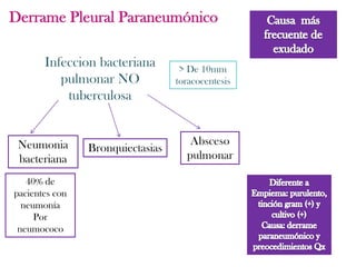 Derrame Pleural Paraneumónico

       Infeccion bacteriana        > De 10mm
          pulmonar NO             toracocentesis
           tuberculosa


 Neumonia                            Absceso
                Bronquiectasias
 bacteriana                         pulmonar

   40% de
pacientes con
  neumonía
     Por
 neumococo
 
