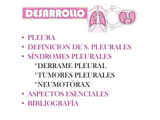 • PLEURA
• DEFINICION DE S. PLEURALES
• SÍNDROMES PLEURALES
    *DERRAME PLEURAL
    *TUMORES PLEURALES
    *NEUMOTÓRAX
• ASPECTOS ESENCIALES
• BIBLIOGRAFÍA
 