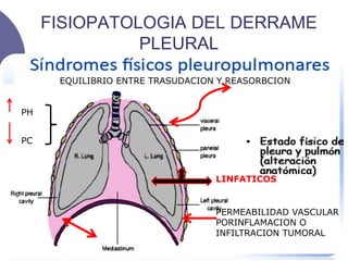 FISIOPATOLOGIA DEL DERRAME
PLEURAL
EQUILIBRIO ENTRE TRASUDACION Y REASORBCION
LINFATICOS
PH
PC
PERMEABILIDAD VASCULAR
PORINFLAMACION O
INFILTRACION TUMORAL
 