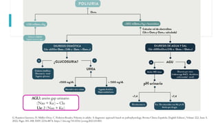 Polyu Ricri Comprehensive Overview of Polyuric Syndromes: Pathophysiology ...