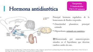 Polyu Ricri Comprehensive Overview of Polyuric Syndromes: Pathophysiology ...