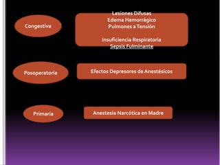 Congestiva

Lesiones Difusas
Edema Hemorrágico
Pulmones a Tensión

Insuficiencia Respiratoria
Sepsis Fulminante

Posoperatoria

Primaria

Efectos Depresores de Anestésicos

Anestesia Narcótica en Madre

 