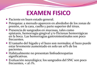 EXAMEN FISICOPaciente en buen estado general.Petequias: a menudo aparecen en alrededor de los zonas de presión, en la cara, cuello y parte superior del tórax.Presencia de sangrados en mucosas, tales como epistaxis, hemorragia gingival y/o flictenas hemorrágicas en la boca. Las hemorragias gastrointestinales son poco frecuentes.El tamaño del hígado y el bazo son normales; el bazo puede estar levemente aumentado en solo un 10% de los pacientes.Habitualmente no presentan linfoadenopatías significativas.Evaluación neurológica; los sangrados del SNC son poco frecuentes, < al 1%.