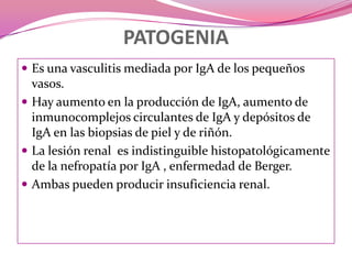 PATOGENIAEs una vasculitis mediada por IgA de los pequeños vasos. Hay aumento en la producción de IgA, aumento de inmunocomplejoscirculantes de IgA y depósitos de IgA en las biopsias de piel y de riñón. La lesión renal  es indistinguible histopatológicamente de la nefropatía por IgA , enfermedad de Berger. Ambas pueden producir insuficiencia renal.