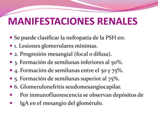 MANIFESTACIONES RENALESSe puede clasificar la nefropatía de la PSH en:1. Lesionesglomerularesmínimas.2. Progresiónmesangial (focal o difusa).3. Formación de semilunas inferiores al 50%.4. Formación de semilunas entre el 50 y 75%.5. Formación de semilunas superior al 75%.6. Glomerulonefritisseudomesangiocapilar.Porinmunofluorescencia se observandepósitosde          IgA en el mesangio del glomérulo.