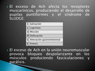  El exceso de Ach afecta los receptores
muscarínicos, produciendo el desarrollo de
pupilas puntiformes y el síndrome de
SLUDGE:
 El exceso de Ach en la unión neuromuscular
provoca bloqueo despolarizante en los
músculos produciendo fasciculaciones y
parálisis.
S Salivación
L Lagrimeo
U Micción
D Defecación
G Alteración gastrointestinal
E Emesis
 