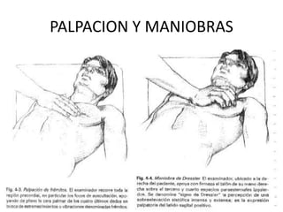 PALPACION Y MANIOBRAS
 