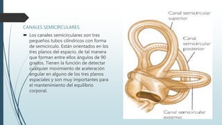 CANALES SEMICIRCULARES
 Los canales semicirculares son tres
pequeños tubos cilíndricos con forma
de semicírculo. Están orientados en los
tres planos del espacio, de tal manera
que forman entre ellos ángulos de 90
grados. Tienen la función de detectar
cualquier movimiento de aceleración
angular en alguno de los tres planos
espaciales y son muy importantes para
el mantenimiento del equilibrio
corporal.
 