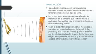 TRANSDUCCIÓN.
 La audición implica cuatro transducciones
distintas, es decir se produce en cuatro ocasiones
la transformación de un tipo de señal.
 Las ondas sonoras se convierte en vibraciones
mecánicas en el tímpano que se transmite a la
cadena de huesecillos, este proceso tiene lugar en
el oído externo y medio.
 Ya en el oído interno las vibraciones mecánicas se
transforman en ondas líquidas de la endolinfa y
perilinfa y más tarde en señales químicas emitidas
por las células ciliadas del órgano de Corti que dan
origen a un potencial de acción que se transmite al
cerebro a través del nervio vestibulococlear.
 