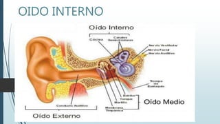OIDO INTERNO
 