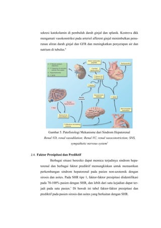 Sindrom hepato renal