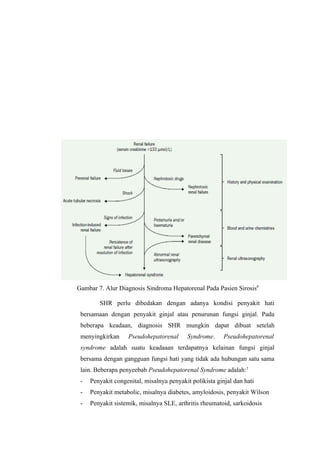 Sindrom hepato renal