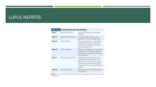 LUPUS NEFRITIS
 