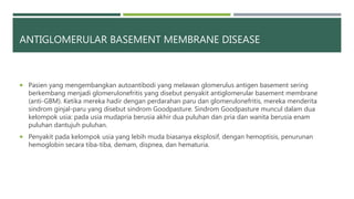 ANTIGLOMERULAR BASEMENT MEMBRANE DISEASE
 Pasien yang mengembangkan autoantibodi yang melawan glomerulus antigen basement sering
berkembang menjadi glomerulonefritis yang disebut penyakit antiglomerular basement membrane
(anti-GBM). Ketika mereka hadir dengan perdarahan paru dan glomerulonefritis, mereka menderita
sindrom ginjal-paru yang disebut sindrom Goodpasture. Sindrom Goodpasture muncul dalam dua
kelompok usia: pada usia mudapria berusia akhir dua puluhan dan pria dan wanita berusia enam
puluhan dantujuh puluhan.
 Penyakit pada kelompok usia yang lebih muda biasanya eksplosif, dengan hemoptisis, penurunan
hemoglobin secara tiba-tiba, demam, dispnea, dan hematuria.
 