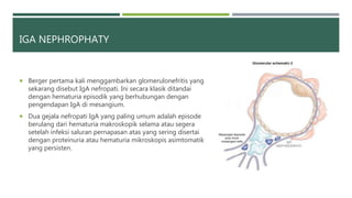 IGA NEPHROPHATY
 Berger pertama kali menggambarkan glomerulonefritis yang
sekarang disebut IgA nefropati. Ini secara klasik ditandai
dengan hematuria episodik yang berhubungan dengan
pengendapan IgA di mesangium.
 Dua gejala nefropati IgA yang paling umum adalah episode
berulang dari hematuria makroskopik selama atau segera
setelah infeksi saluran pernapasan atas yang sering disertai
dengan proteinuria atau hematuria mikroskopis asimtomatik
yang persisten.
 