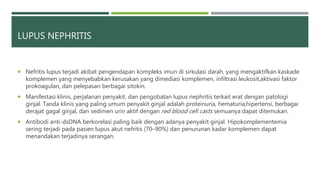 LUPUS NEPHRITIS
 Nefritis lupus terjadi akibat pengendapan kompleks imun di sirkulasi darah, yang mengaktifkan kaskade
komplemen yang menyebabkan kerusakan yang dimediasi komplemen, infiltrasi leukosit,aktivasi faktor
prokoagulan, dan pelepasan berbagai sitokin.
 Manifestasi klinis, perjalanan penyakit, dan pengobatan lupus nephritis terkait erat dengan patologi
ginjal. Tanda klinis yang paling umum penyakit ginjal adalah proteinuria, hematuria,hipertensi, berbagai
derajat gagal ginjal, dan sedimen urin aktif dengan red blood cell casts semuanya dapat ditemukan.
 Antibodi anti-dsDNA berkorelasi paling baik dengan adanya penyakit ginjal. Hipokomplementemia
sering terjadi pada pasien lupus akut nefritis (70–90%) dan penurunan kadar komplemen dapat
menandakan terjadinya serangan.
 