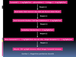 Furosemid 1 – 3 mg/kgbb/hari + spironolakton 2 – 4 minggu 2 – 4 mg/kgbb/hari
Berat badan tidak menurun atau tidak ada diuresis dalam 48 jam
Dosis furosemid dinaikan 2 kali lipat (maksimum 4 – 6 mg/kgbb/hari
Tambahkan hidrokortison 1 – 2 mg/kgbb/hari
Bolus furossemid IV 1 – 3 mg/kgbb/dosis atau per infus dengan kecepatan 0,1 – 1 mg/kgbb/jam
Albumin 20% 1g/kgbb intravena diikuti dengan furosemid intravena
Respon (-)
Respon (-)
Respon (-)
Respon (-)
Respon (-)
Gambar 1. Alogaritme pemberian diuretik
 