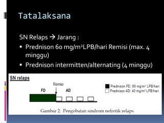 Tatalaksana
SN Relaps  Jarang :
 Prednison 60 mg/m2LPB/hari Remisi (max. 4
minggu)
 Prednison intermitten/alternating (4 minggu)
 