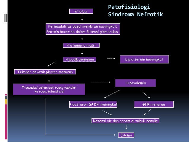 SINDROME NEFROTIK